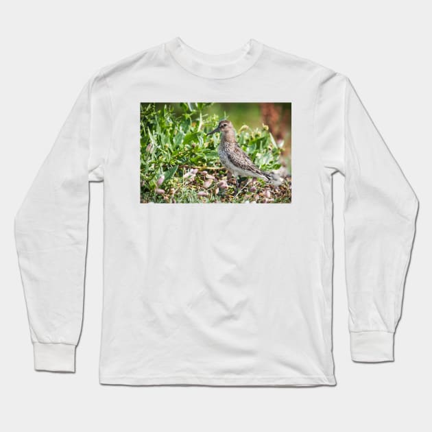 Dunlin wading bird on the shore Long Sleeve T-Shirt by CreativeNatureM